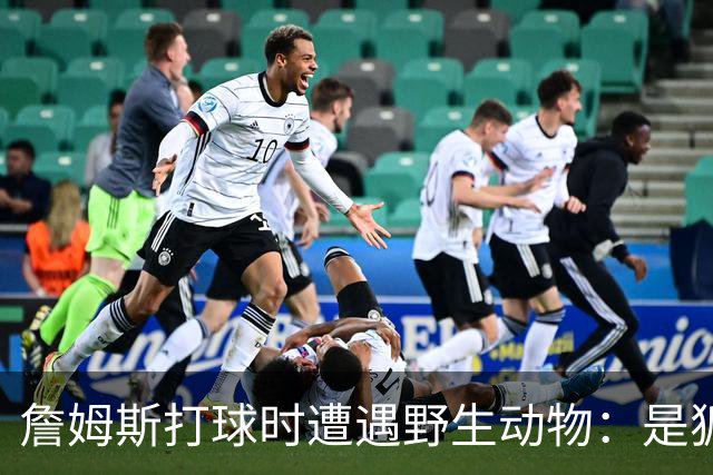 詹姆斯打球时遭遇野生动物：是狐狸还是郊狼？